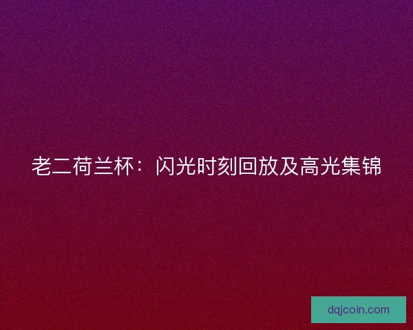 老二荷兰杯：闪光时刻回放及高光集锦