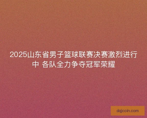 2025山东省男子篮球联赛决赛激烈进行中 各队全力争夺冠军荣耀